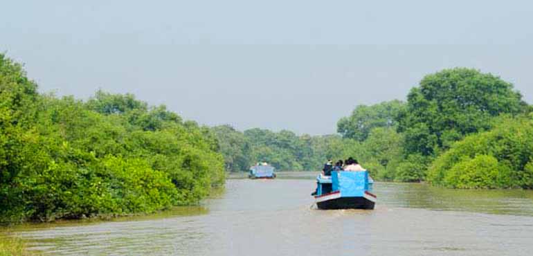 boating-at-bhitarkanika