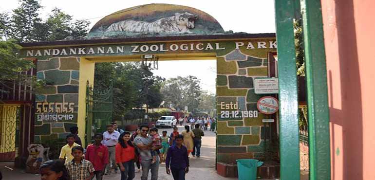 nandankanan-zoological-park