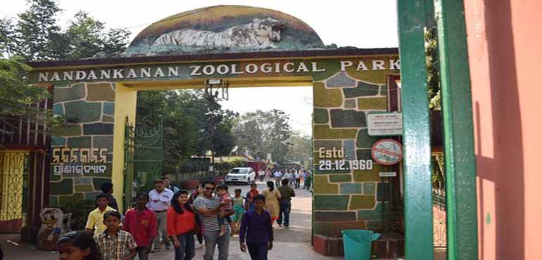 nandankanan-zoological-park