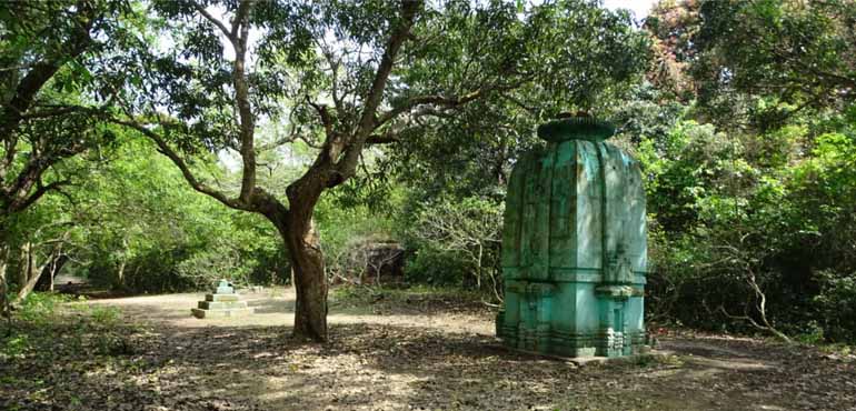 shiva-temple-in-bhitarkanika