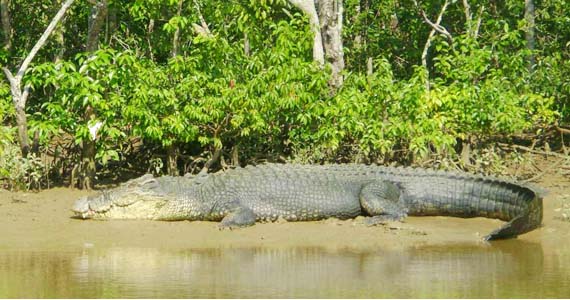 upcoming-events-img-1